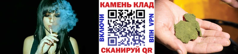 наркота  Ленинградская  Гашиш hashish 