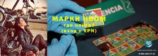 гидра Беслан