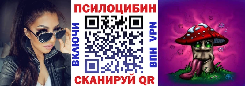 как найти закладки  KRAKEN ТОР  Псилоцибиновые грибы Psilocybe  Ленинградская 